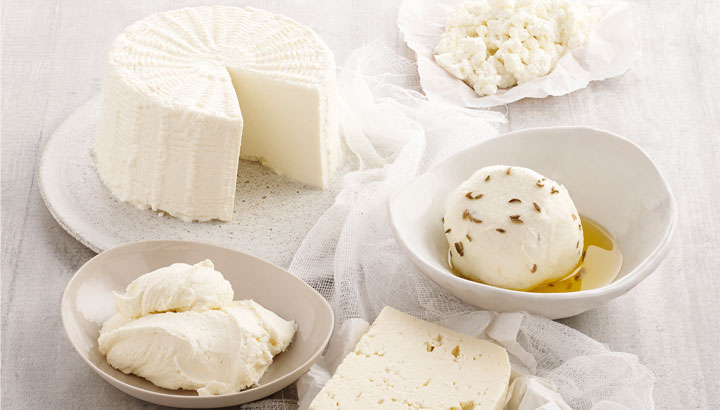 A selection of fresh unripened cheese on a bench.