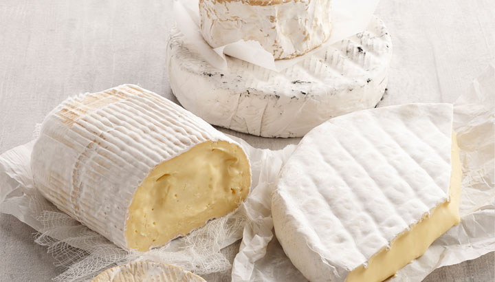 An image of white mould cheese displayed on a table.